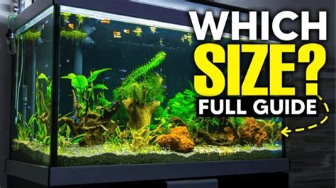 70 gallon fish tank|A Cheat Sheet to Fish Tank Gallon Sizes and Dimensions.